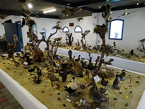 romo vogelmuseum 03