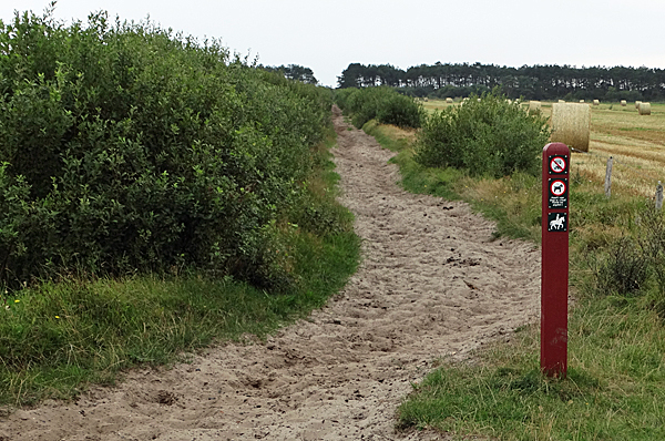 romo wandern 01 romo wandern 01